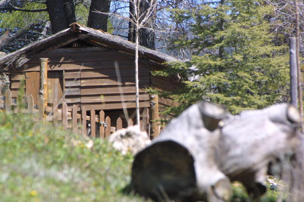 Alojamiento Rural Las Maravillas Canada Catena ภายนอก รูปภาพ